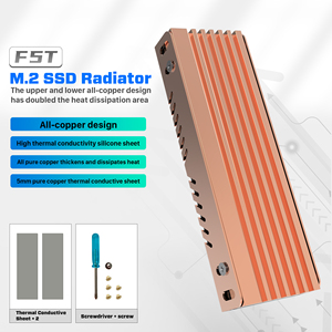 M.2 2280 NGFF PCI-E NVMESSDヒートシンク用純銅ヒートシンク熱伝導性接着モジュール - Product Image 2