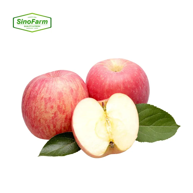 แอปเปิ้ลสดฟูจิแอปเปิ้ลหวานผลไม้สดส่งออกจากฟาร์ม