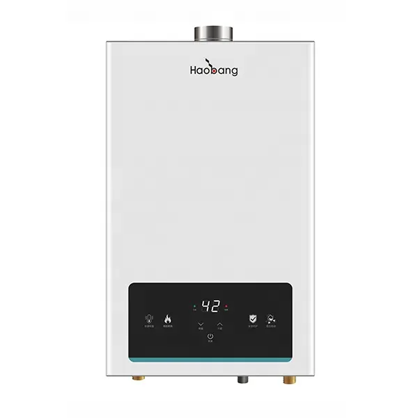 HAOBANG Mejor Venta Nueva Llegada 10L 12L Equilibrio Instantáneo Chimenea NG LP Gas Géiser Calentador de Agua