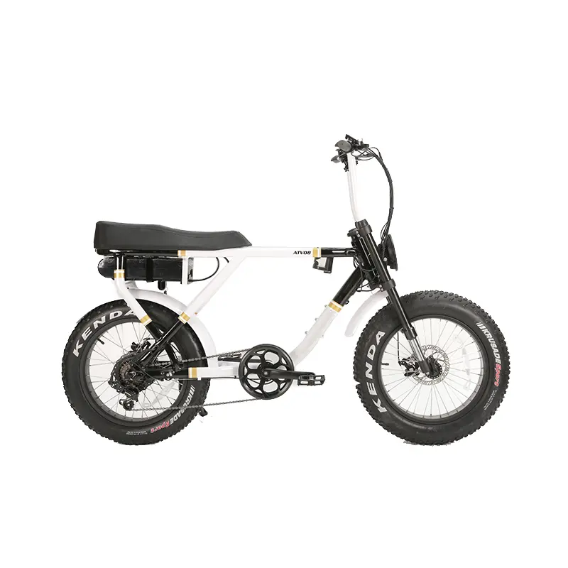 Groothandel Verwijderbare Batterij Dikke Band Elektrische Fiets Full Suspension Beach Cruiser Super Motorfiets Fiets Elektrische Fat Tire