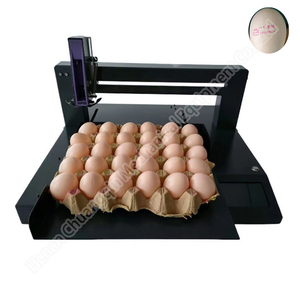 Single Egg Inkjet Printer Automatische Egg Inkjet-Drucker maschine Batch Code Stamp ing Date Coding Device