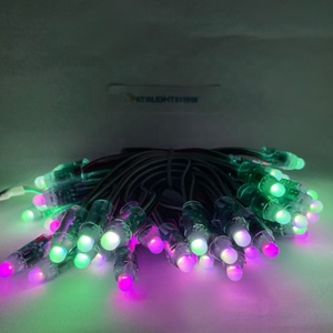 50 Stück WS2811 IC RGB Voll farbe 12mm Pixel Digital adressierbar 12V Traum farbe LED Pixel Modul IP68 Wasserdichtes Licht - Product Image 6