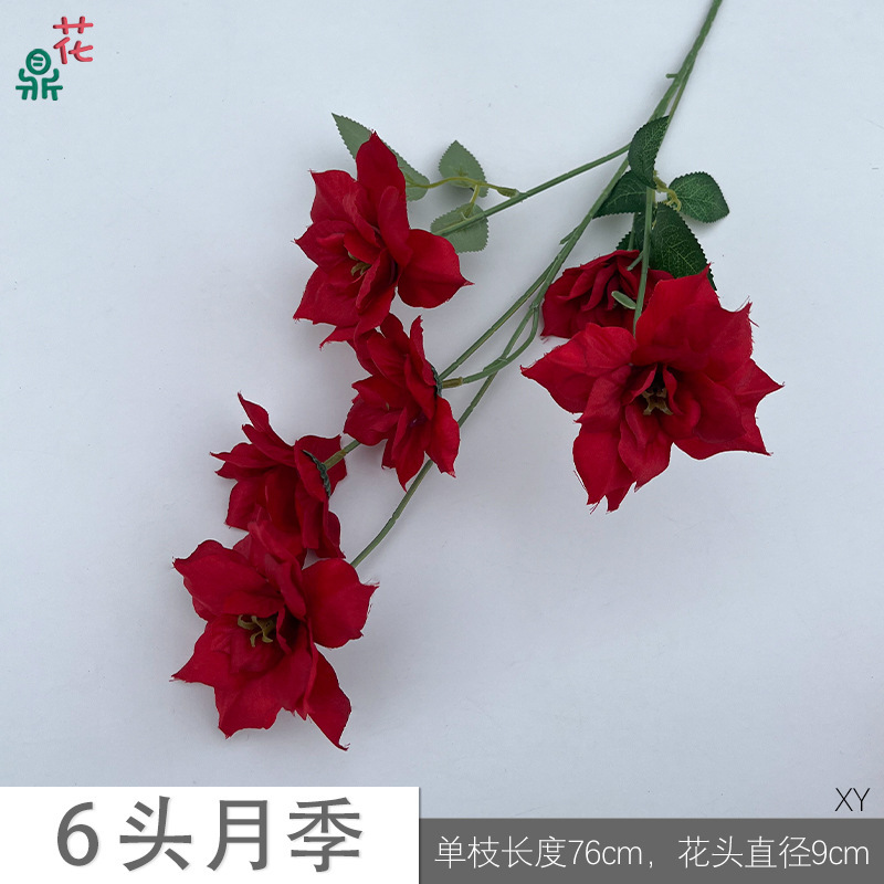 Rose à 6 têtes XY Rouge