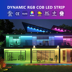 RGBIC Dreamcolor COB Stripe tira de luces แอดเดรสโปรแกรม 12 24V 630leds ดิจิตอล RGB IC ไฟ LED Strip สําหรับเพดานผนัง