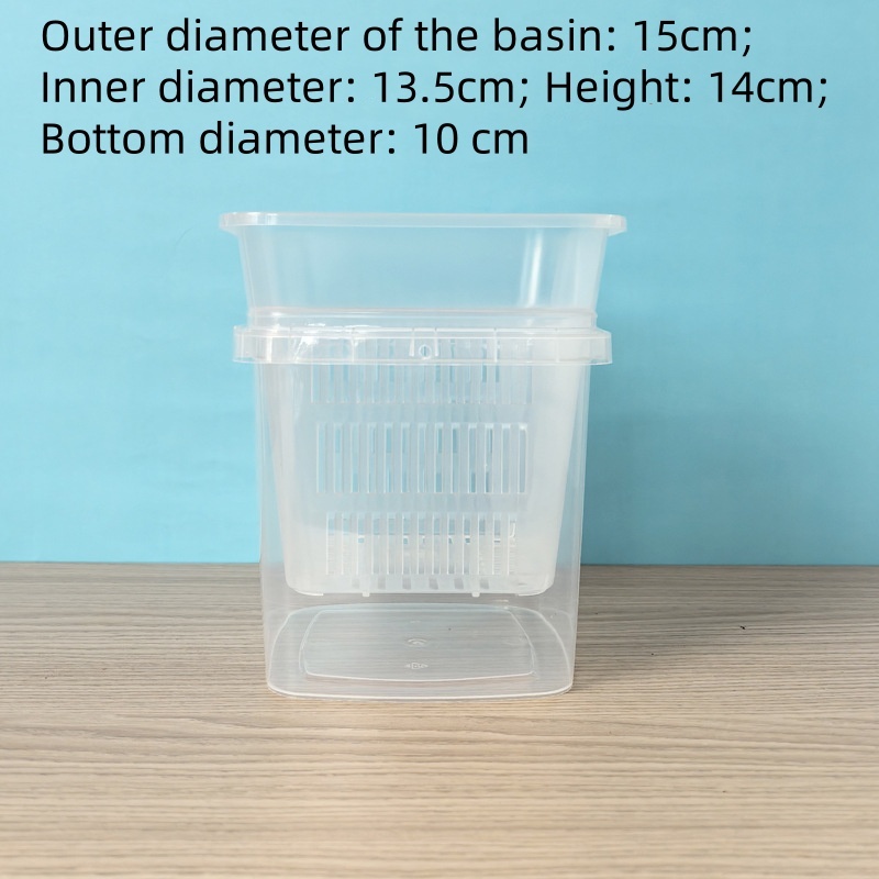 Bacinella quadrata trasparente 15 cm + bacinella esterna