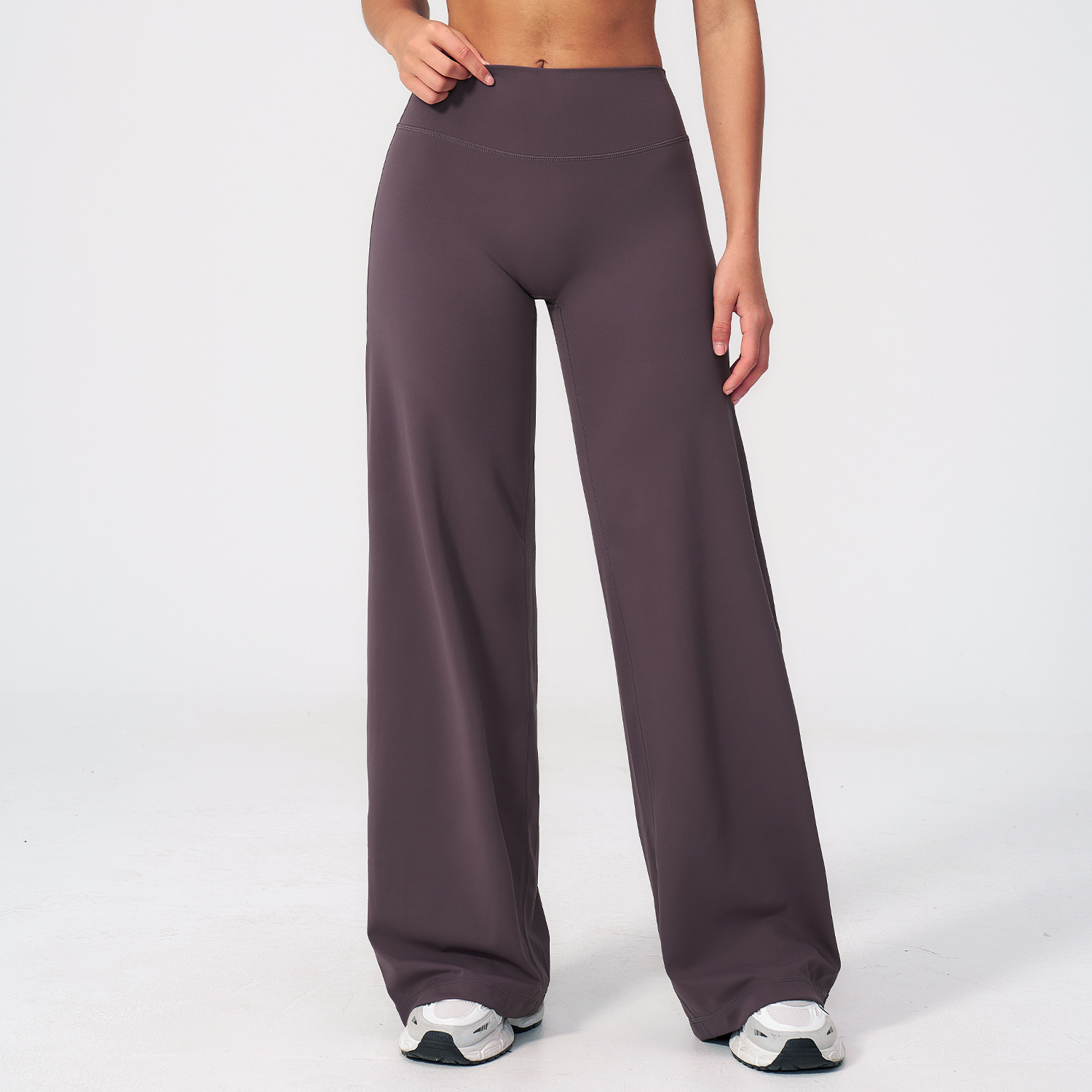 Aubergine violette