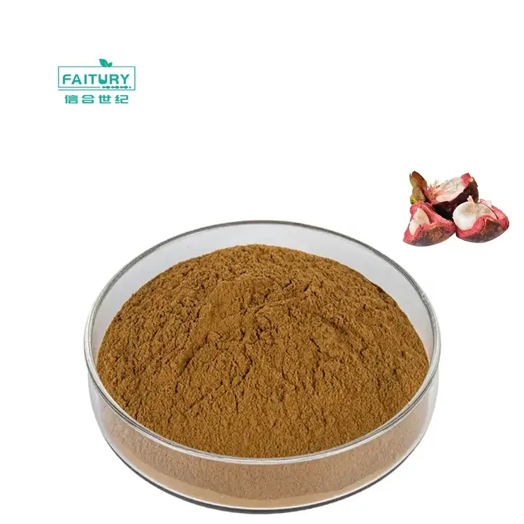 Factory Supply Mangosteen Fruit Extract Powder Mangostin Powder Mangosteen Extract