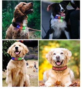 USB wiederauf ladbar programmier bar Custom ized Scrolling Text App gesteuert DIY Nachricht Leuchten Led Hunde halsband Led Haustier halsband - Product Image 6