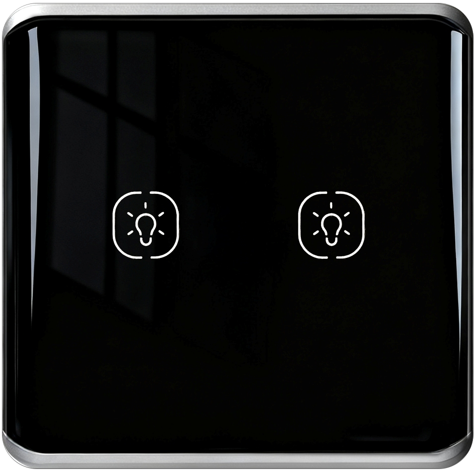 Black 2gang WIFI