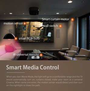 IOT Smart Home Hub HA 3,0 Zigbee Gateway Smart Home System - Product Image 3