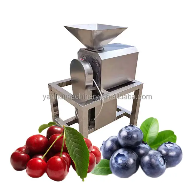 Macchina per la produzione di marmellata di pomodoro con polpa di Mango e pasta di frutta e verdura in vendita