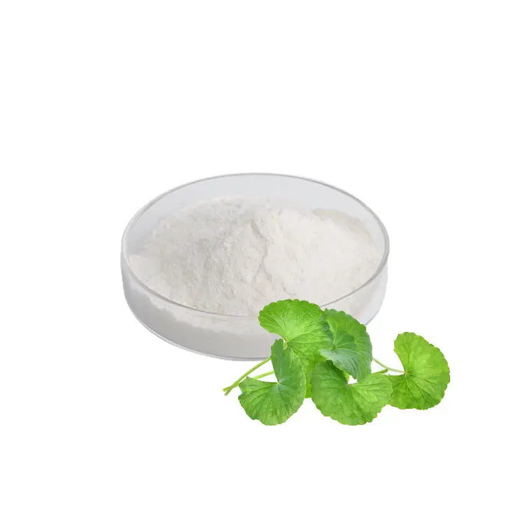 10:1 20:1 15% 20% Centella Asiatica Extract Poeder