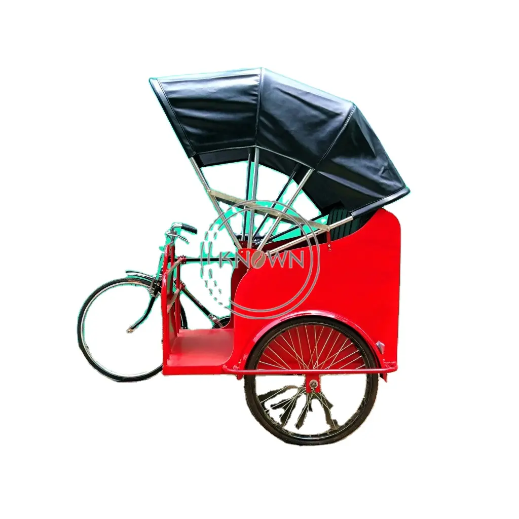Risciò elettrico di stile del sud-est asiatico del triciclo elettrico di consegna di turismo della bici del carico di avvistamento su misura fabbrica dell'oem