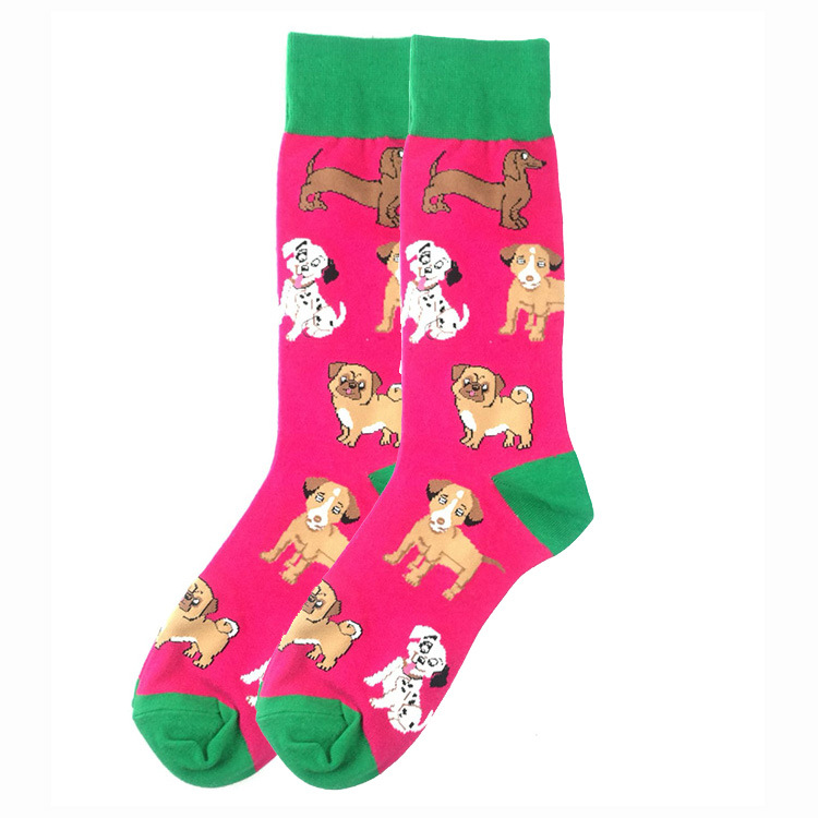 CHIENS FUCHSIA
