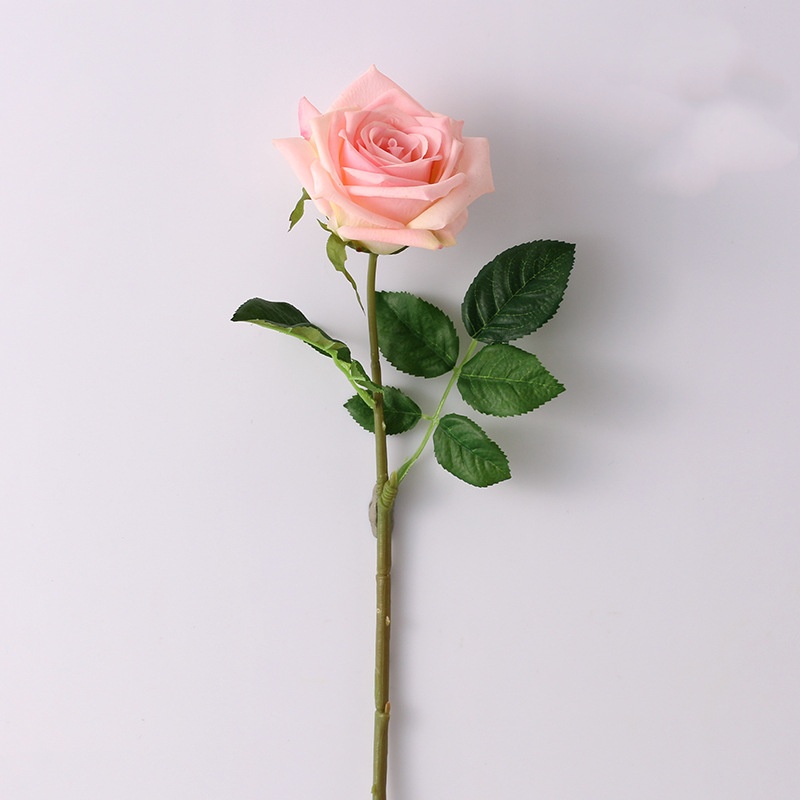 5. Nuevo rosa