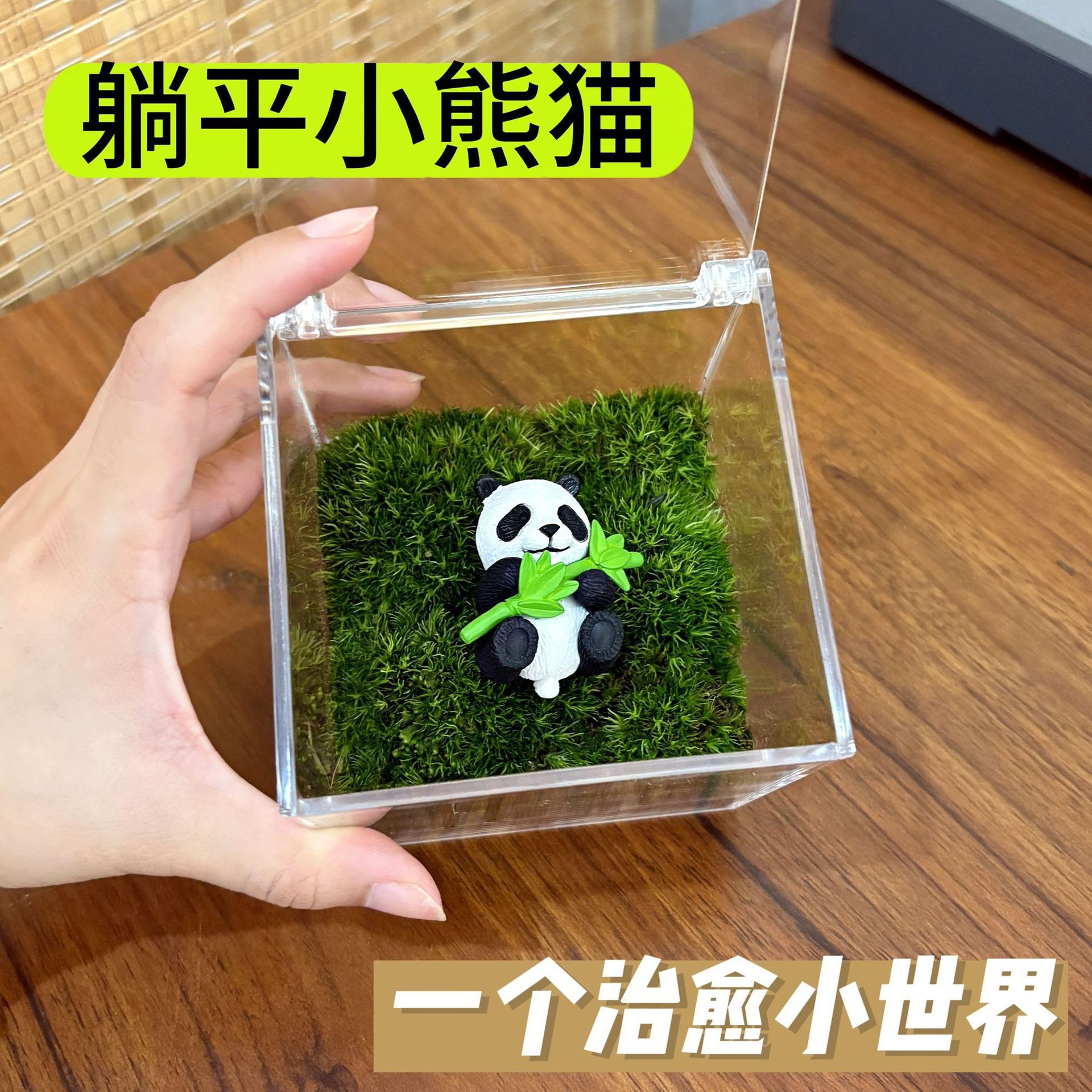 Pequeño panda tumbado