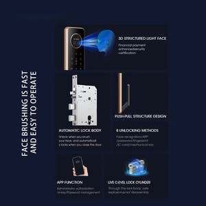 TTlock akıllı anahtar kapı kilidi 3D yüz tanıma OLED USB bağlantısı parmak izi/şifre/kart/anahtar erişim oteller ev-tuya akıllı - Product Image 2