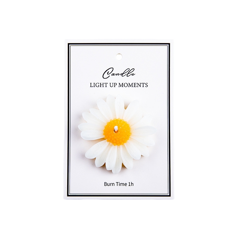 White-Daisy