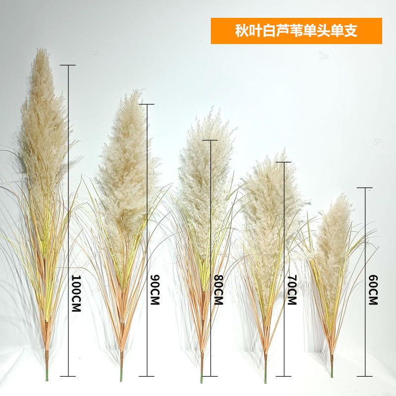 Feuilles d'automne et roseaux blancs-tête unique-tige unique