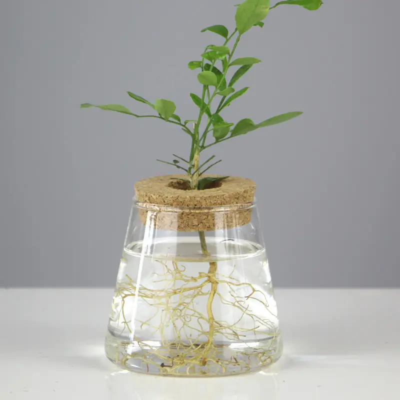 ガラスバッド花瓶手作りモダン花用センターピースの家の装飾小さなガラスクラシックコンテンポラリーラウンドシェイプ