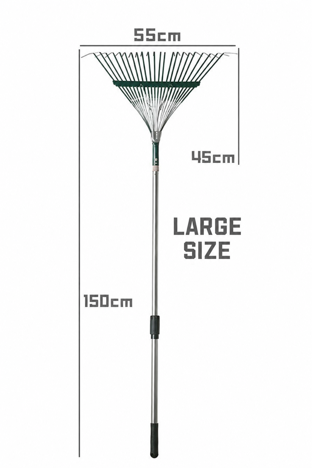 Big Size