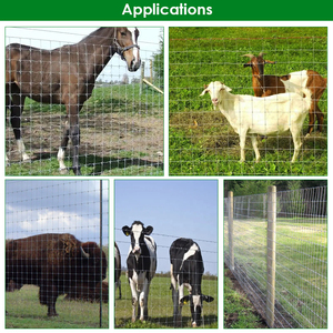 Factory Cattle <strong>Fence</strong> Galvanized <strong>Class</strong> 3 Fixed Knot Model 23120 Spacing 12in Security <strong>Mesh</strong> for Ranches Livestock Sells in Amazon - Product Image 3