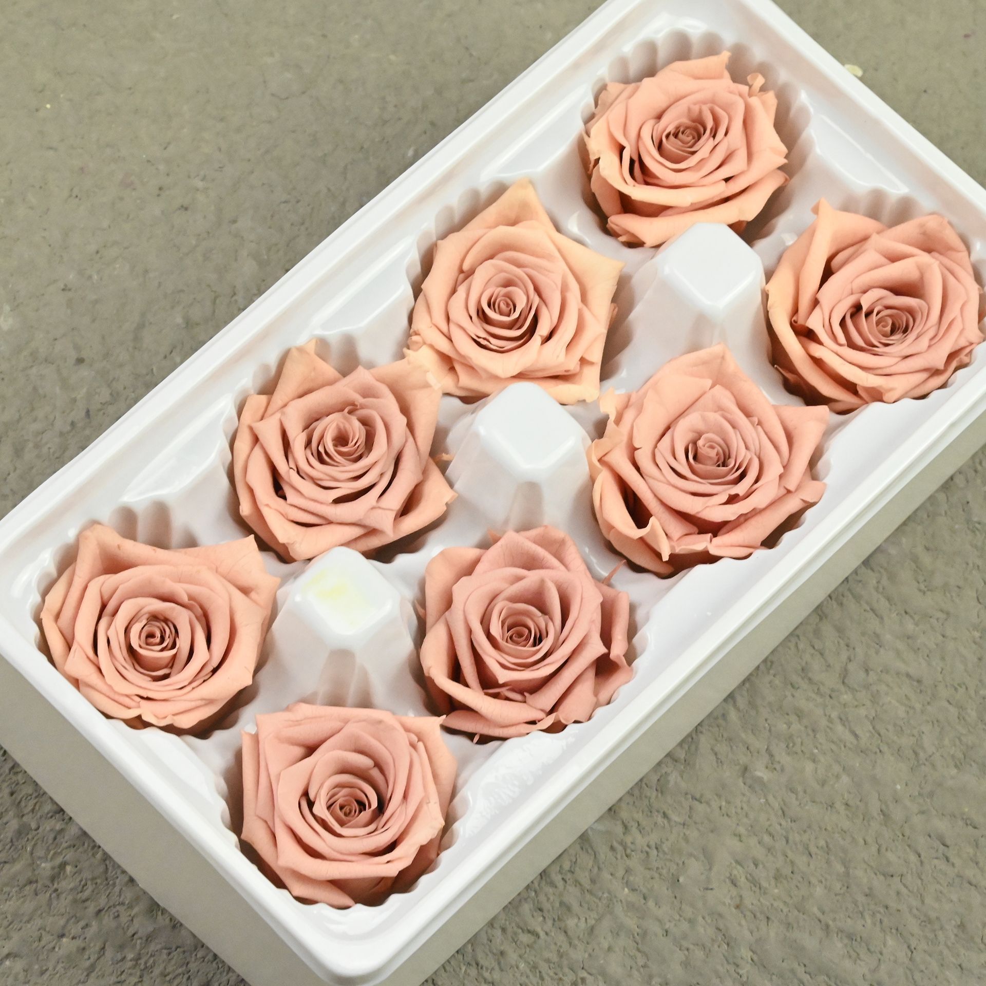 B rose 4-5 mixed color 2