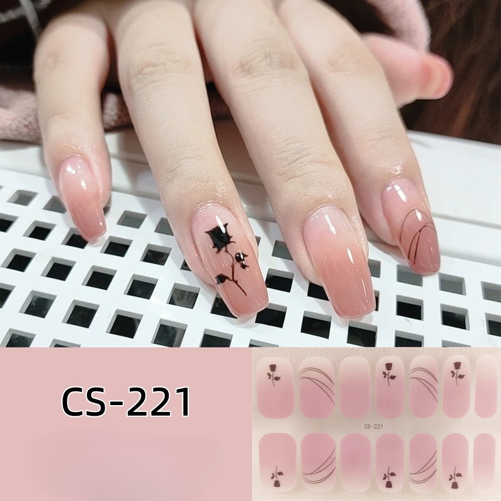 CS221