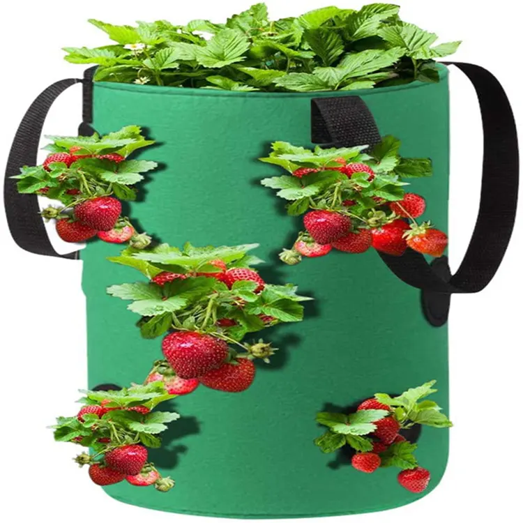 Çilek bitki dikme çantası s, bahçe asılı çilek domates çanta büyümek patates sebze bitki dikme çantası delikli