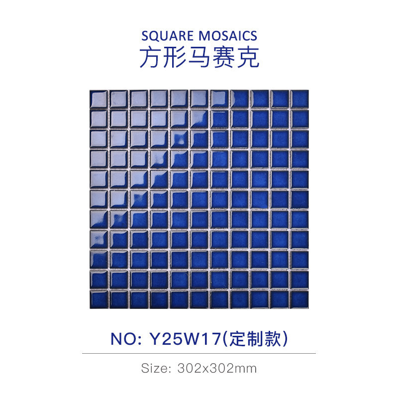 2525 bleu cuit au four y25w17