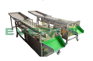 Size <strong>Sorting</strong> Machine Rail Type <strong>Sorting</strong> Machine 1000kg/h - Product Image 2