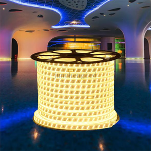 Dải Đèn Led 3528 Chất Lượng Cao 240 Leds/Mét Với Giá Dưới Cùng Của Nhà Máy Dải Đèn Led Hai Hàng - Product Image 1