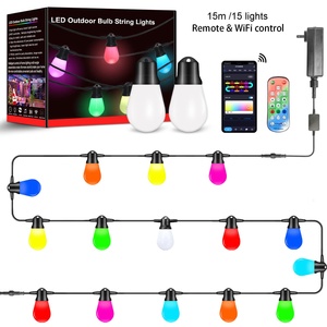 Factory Direct Sale 12v 24v OEM IP67 Waterproof <strong>Led</strong> Christmas <strong>Light</strong> <strong>String</strong> <strong>Led</strong> Bulb Outdoor <strong>String</strong> Lighting - Product Image 3