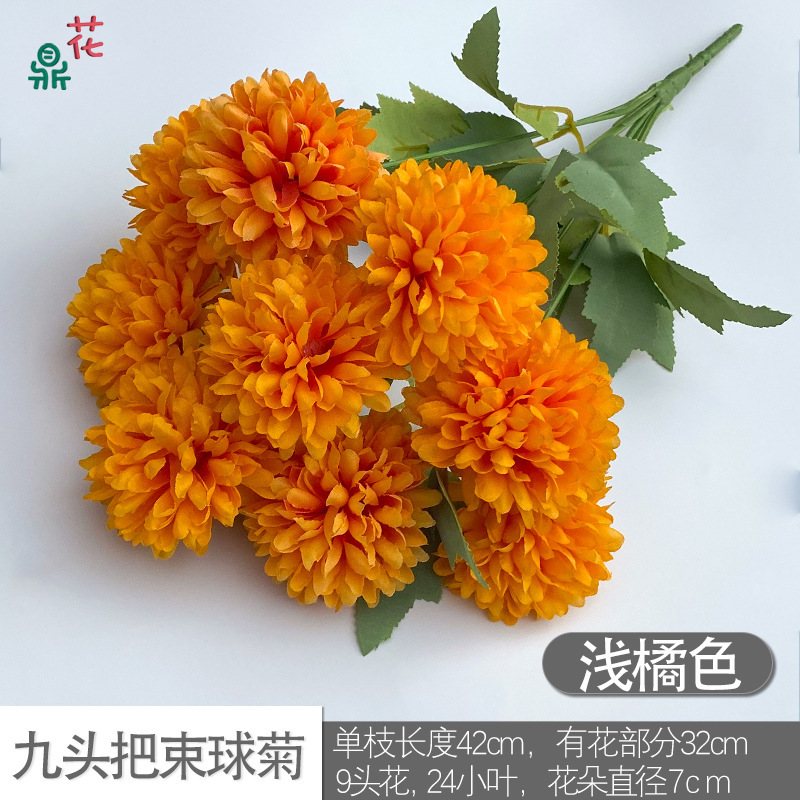 Chrysanthème à neuf têtes, orange clair