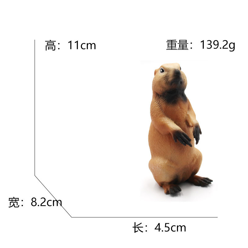 1010 marmotte-1392g