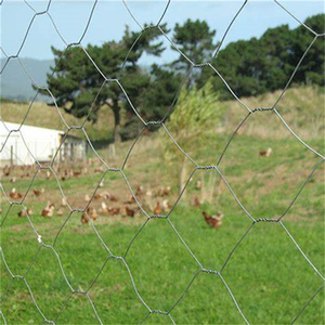 Precio más bajo Malla de alambre Malla de maíz Valla de pollo Panel de valla de conejo Jaula de pollo Filipinas - Product Image 2