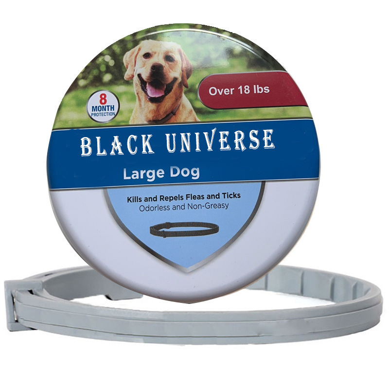 Nouveau grand chien de style américain