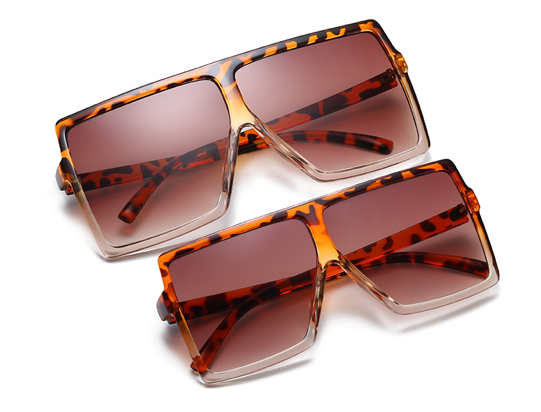 C8 Set Leopard-C