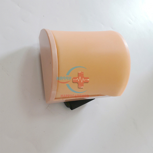 HC-S157 Practice Injection Training Model <strong>Medical</strong> Multifunctional Intramuscular Injection Module - Product Image 3