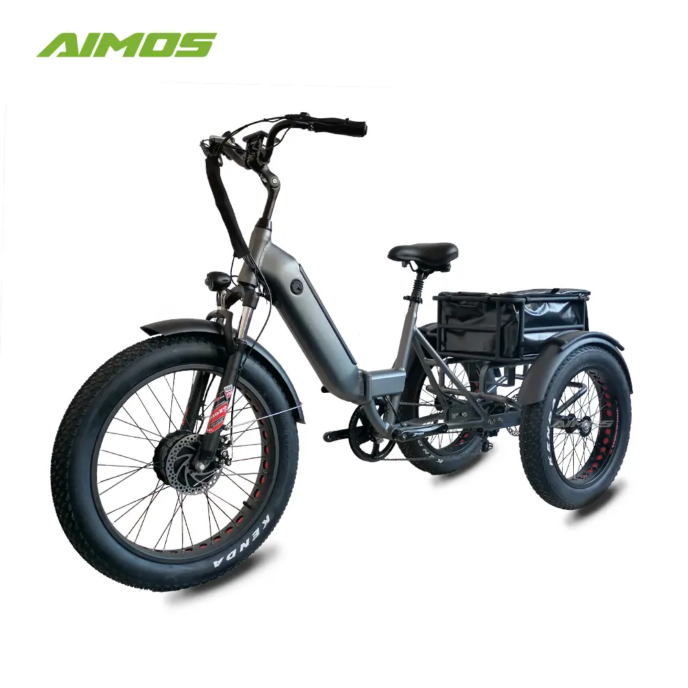 Trike électrique à gros pneus 24x4.0, vélo cargo électrique à 3 roues, vélo cargo électrique, vélo électrique pour la famille