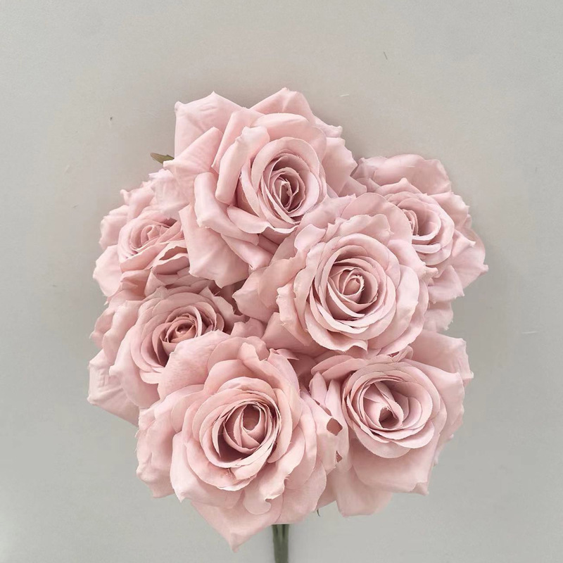 pelle rosa rosa