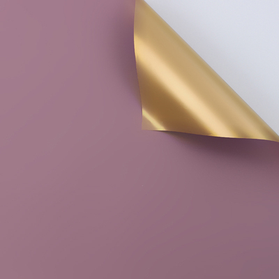 02 Couleur de la pâte de haricots