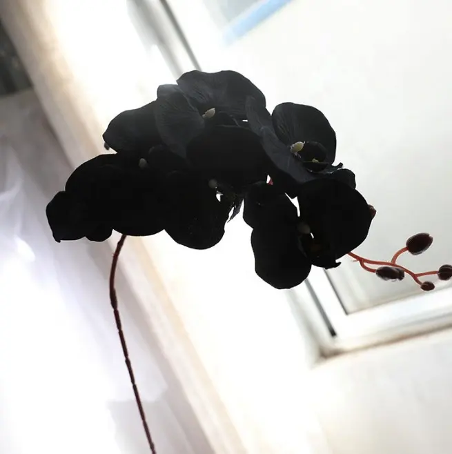 Flores artificiales de orquídeas para decoración, seda negra, 8 cabezas, FC4102, venta al por mayor