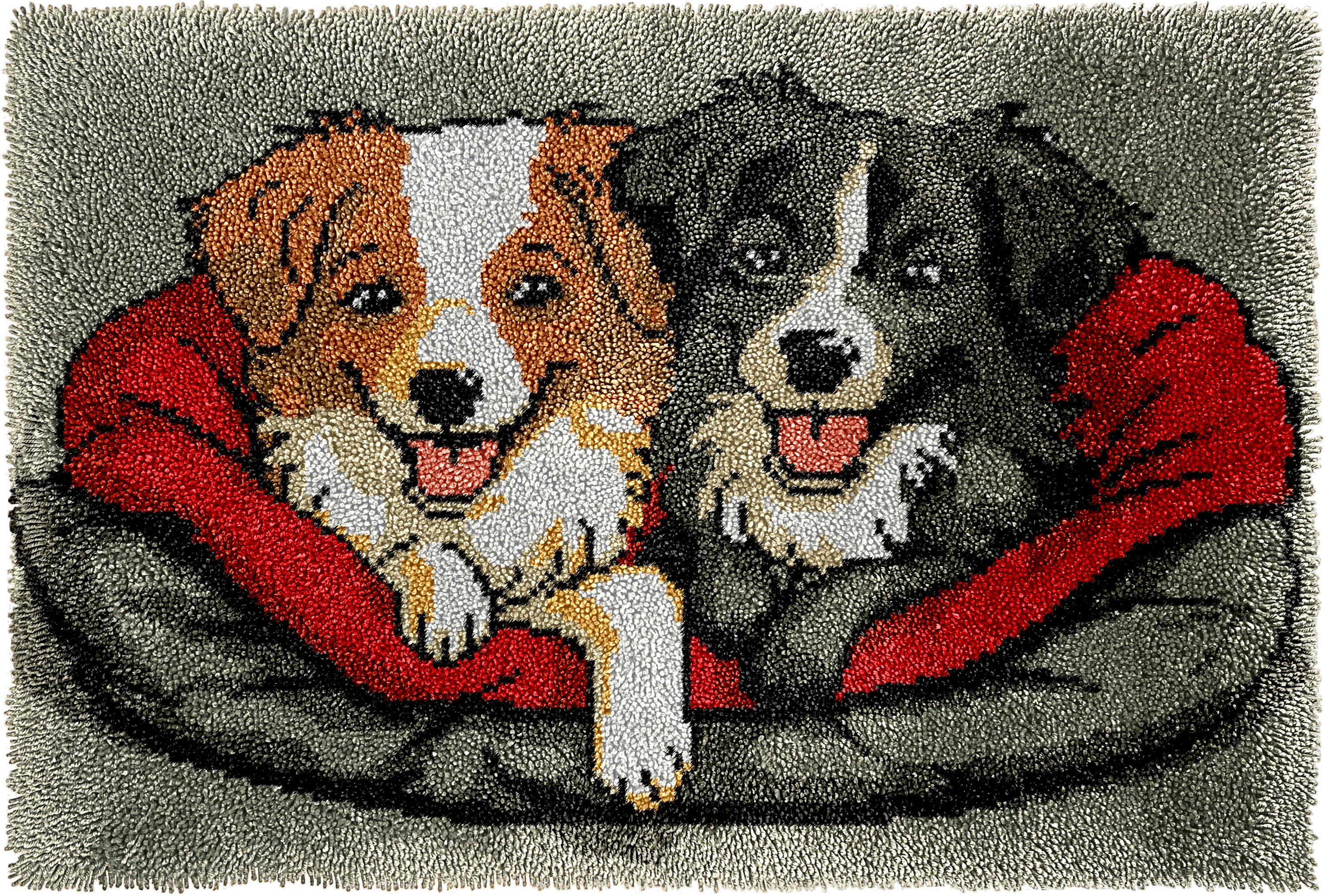 Kit de tapis à crochet pour chiens