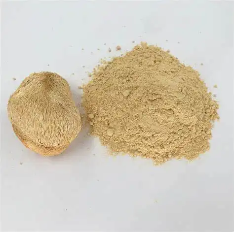 Polvere di estratto di polvere di funghi di criniera di leone naturale Hericium erinaceus 100% 10: