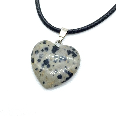 Dalmation