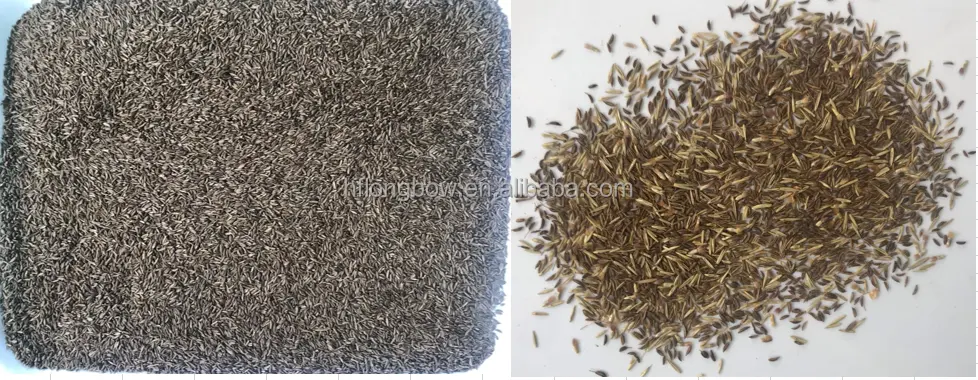 Coriander Seeds Colour Sorter Sunflower Agricultural Seeds Cumin Color Sesame Sorting Machine with Spareparts