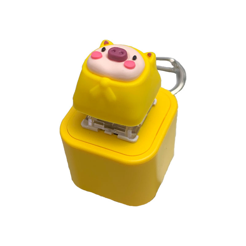 Rechargeable Pig
