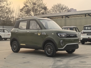 <span class=keywords><strong>HaiBao</strong></span> 4 tekerlekli 5KW serin yetenekli: 4 tekerlekli Off-Road EV geniş, rahat, fabrika doğrudan!