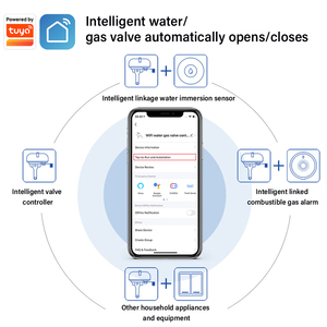 WIFI mekanik otomatik manuel su vanası gaz vanası denetleyici akıllı yaşam APP zamanlama RC su vanası ile Alexa Google ev - Product Image 6